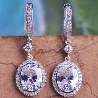 2503300315 Fashion Alloy  PMMA Earrings 4 Colores