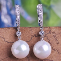 0203103145 Fashion Alloy PMMA  Flower Earrings 3 Colores