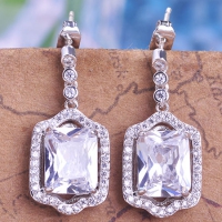 0203103147 Fashion Alloy  PMMA  Earrings 2 Colores
