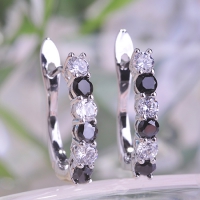 0203103139 Fashion Alloy  PMMA  Earrings 3 Colores
