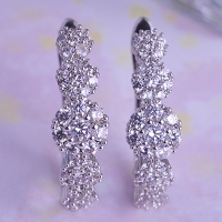 0203102995 Fashion Copper  Rhinestone Earrings 4 Colores