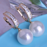 1203100055 Fashion Alloy  Enamel Crystal Snake Earrings 
